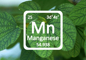 Manganese: Critical for crop production