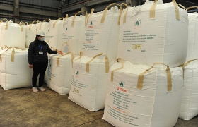 Fertilizer seen becoming billion-dollar export earner