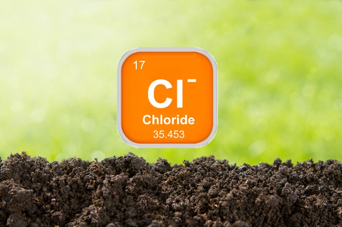 chloride1.jpg