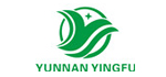 22H32 YUNNAN YINGFU