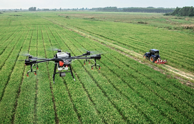 Farmers in Southeast Asia use drones and mobile apps to fight against the fall armyworm