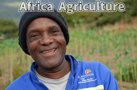 Adviser: Deepen Africa agriculture ties