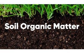 The importance of soil organic matter