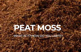  WHAT IS PEAT MOSS? 