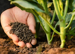 Overview of global organic fertilizer market