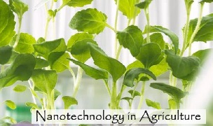 How Agricultural Nanotechnology Will Influence the Future of Farming Sustainability