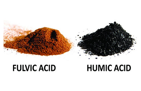 Efficacy of Fulvic Acid