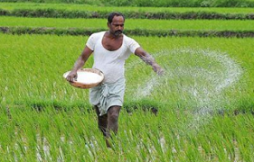 India doubles crop plantings, raising fertilizer demand