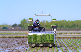 BeiDou satellite system seeds efficient agriculture in Xinjiang