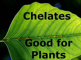 Will Chelates Improve Plant Growth?