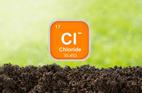 CHLORIDE – AN ESSENTIAL NUTRIENT OR HARMFUL ELEMENT?