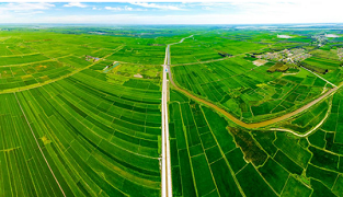 China advances high-standard farmland construction