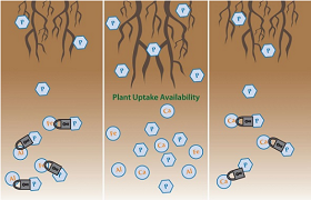 Understanding and applying chelated fertilizer based on soil pH