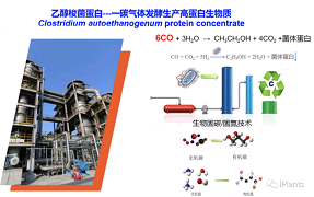 Major breakthrough! The Chinese Academy of Agricultural Sciences realized the synthesis of carbon monoxide to protein for the first time, and formed a 10000 ton industrial capacity