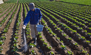 Study clarifies nitrogen’s impact on soil carbon sequestration