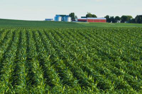 Sound Agriculture launches program to remove the risk associated with fertilizer reduction