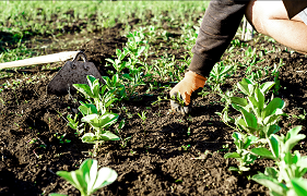 U.S. Agriculture Secretary hopes fertilizer companies will not take advantage of Ukraine crisis