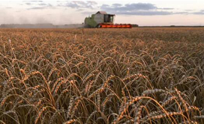 Explained: How Russia-Ukraine crisis will impact agri-business in India