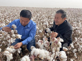 Syngenta to facilitate sustainable growth of cotton and textile industries in China