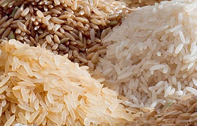 Price of rice likely increase further due to fertilizer price hikes