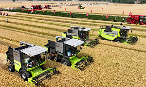 Mechanized wheat harvesting in full swing across China, aims to stabilize prices