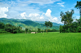 China provides $4.3 mln from LMC Special Fund 2022 to Cambodia