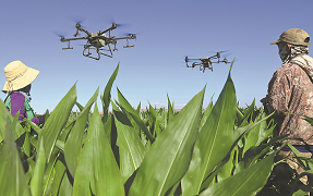 Technology improving agriculture