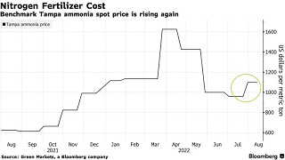 Fertilizer Usage Is Being Pummeled by Europe’s Energy Crisis