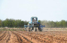 Uzbekistan benefits from the arrival of Chinese agricultural technologies