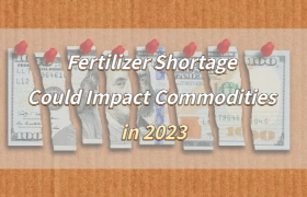 Fertilizer Shortage Could Impact Commodities in 2023