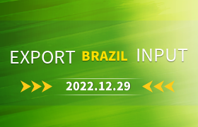Brazil agribusiness exports US$ 160 billion in '22, but inputs have soared and '23 could see a return of protectionism