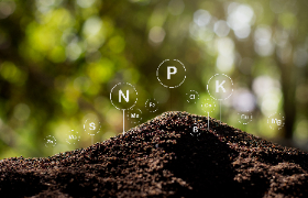 Future Market Insights: Phosphate fertilizers market expected to observe growth at CAGR of 5.5%