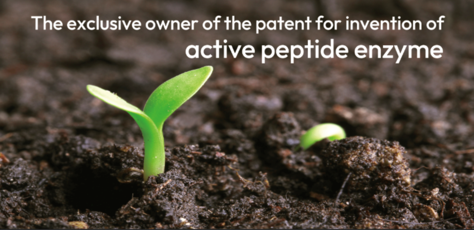 Desert Miracle: Active Peptidase Enzyme (APE+) - Enzymes in 'Intelligent Crop’ Growth Era