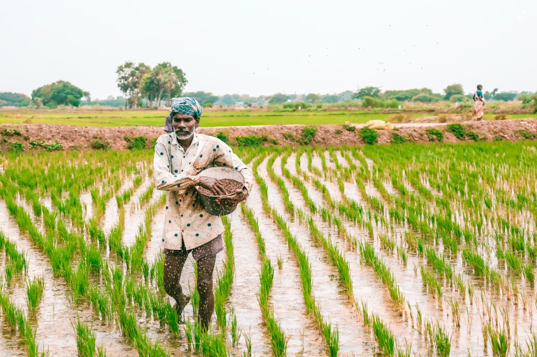 Government of India promotes the use of Nano Fertilizers amongst the farmers−− Six Nano Urea plants and four Nano DAP plants have been set up in the country