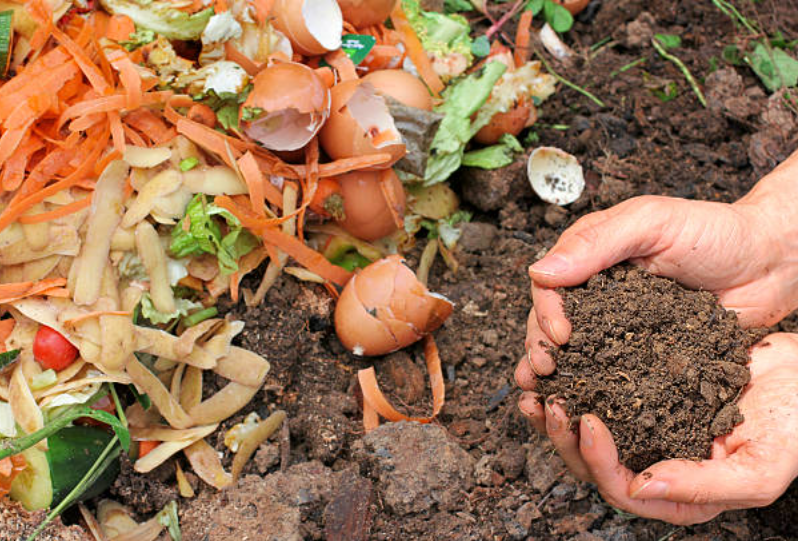 Production of Organic Fertilizer Compost Fermentation