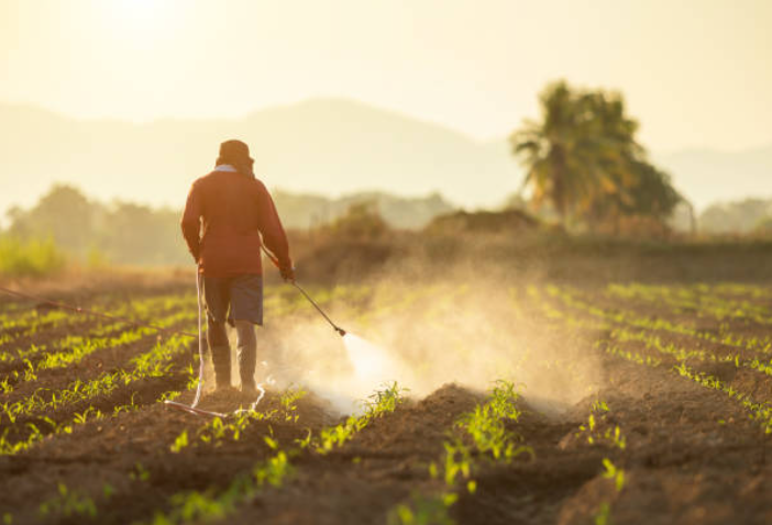 Spanish government approves new regulations to promote sustainable soil nutrition