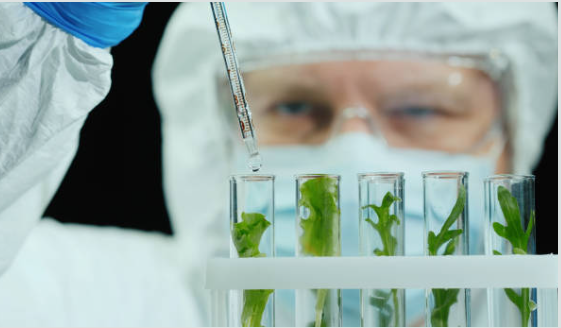 Syngenta's Strategies to Increase Biologicals Adoption