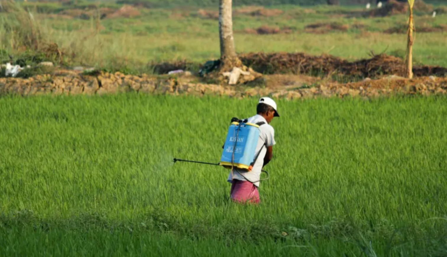 The prosperity of fertilizer market in Indonesia - a new driving force for agricultural development