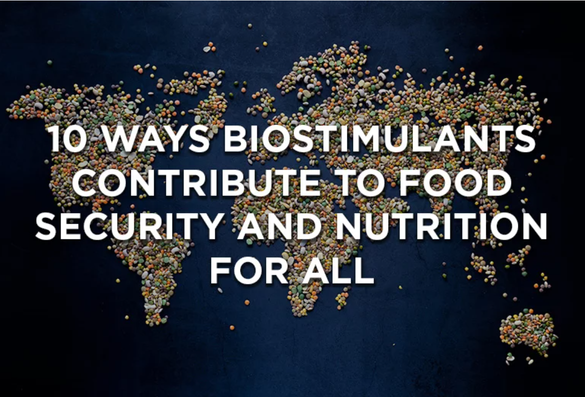 10 ways biostimulants contribute to food security and nutrition for all