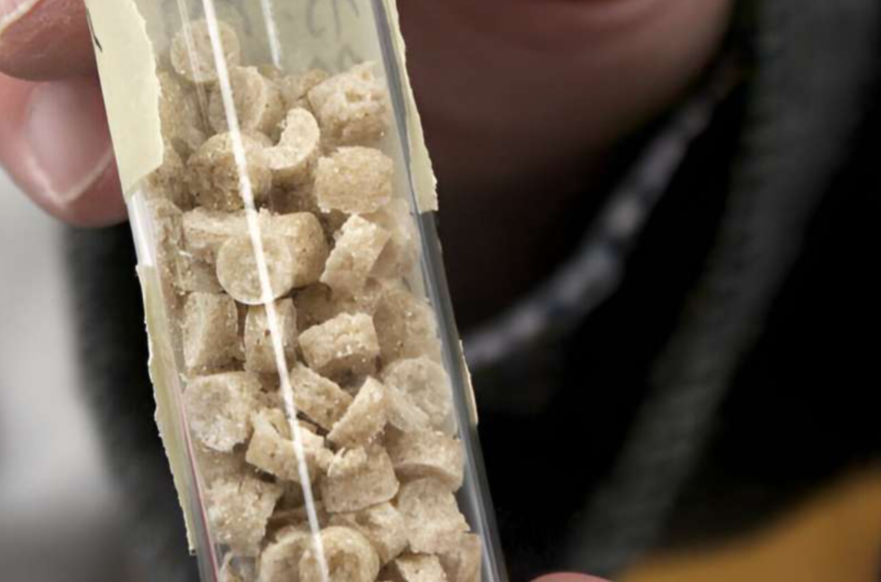 Researchers develop eggshell 'bioplastic' pellet as a fertilizer