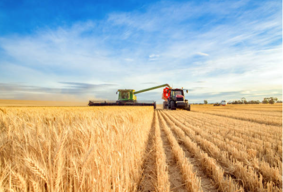 Canada’s fertilizer Industry: a key to food security in a growing world