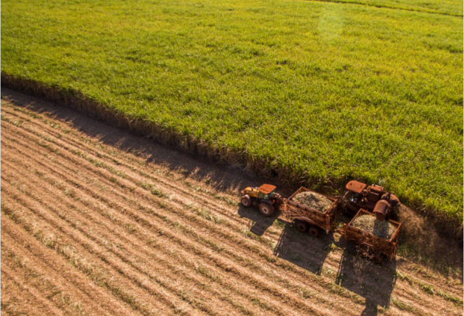 Revenue from Brazil’s specialty fertilizers market rises 19%