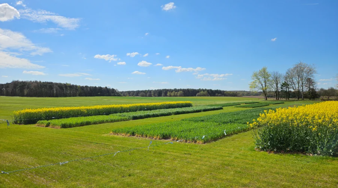 Bio-stimulants: A crucial tool in low-input, resilient farming