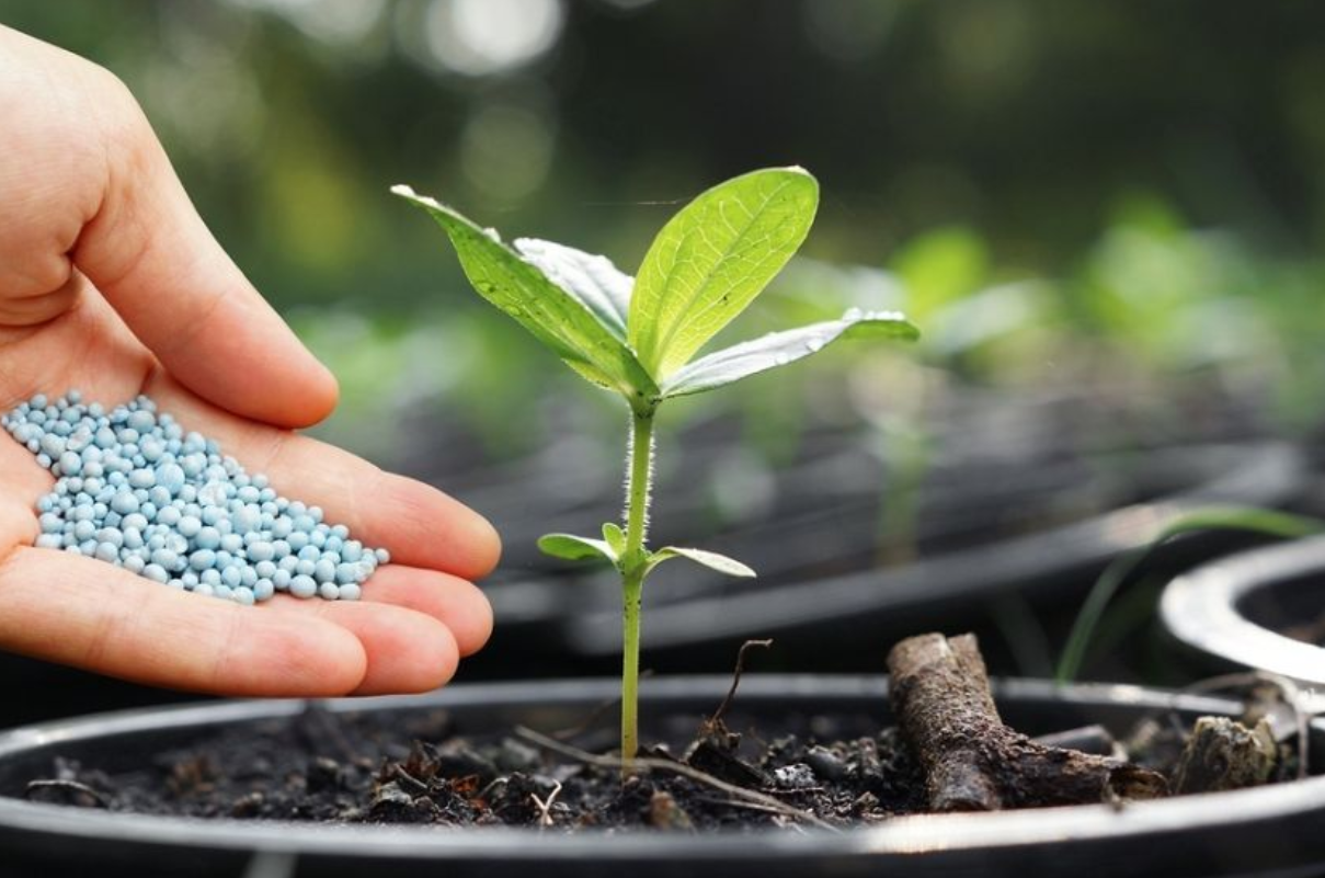 Brazil has increased purchases of fertilizers from Russia