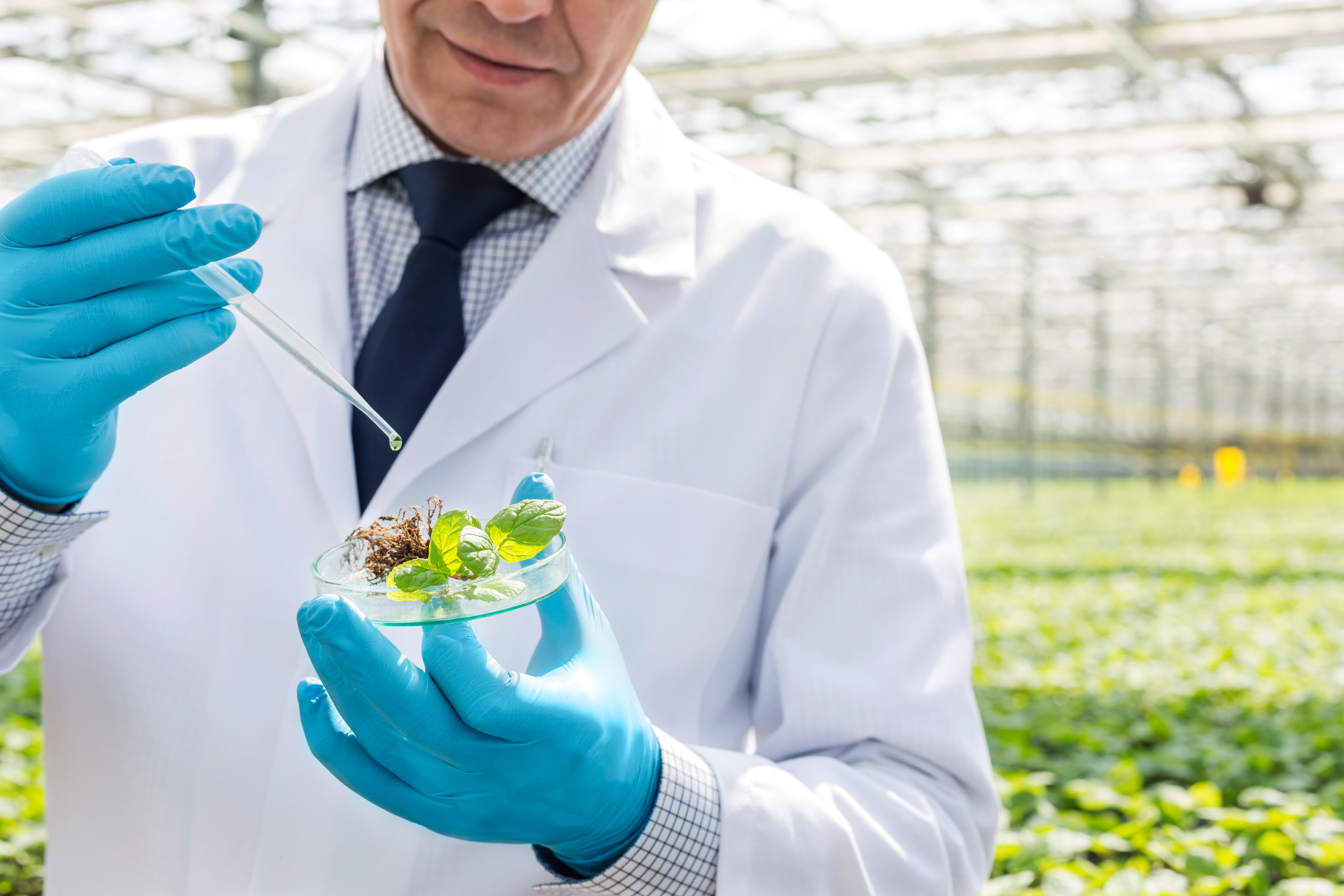 Chengdu Newsun Crop Science Eyes Global Growth As Biostimulant Demand Accelerates