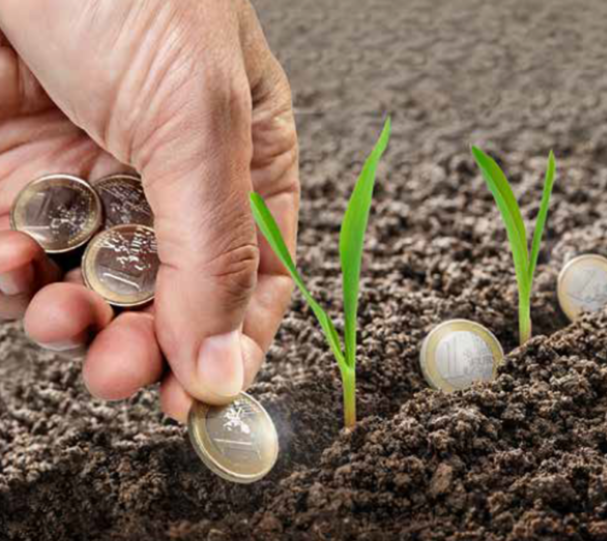 BASF and Yuntianhua successfully verify and register GHG emissions reductions from the use of stabilised urea fertilizer