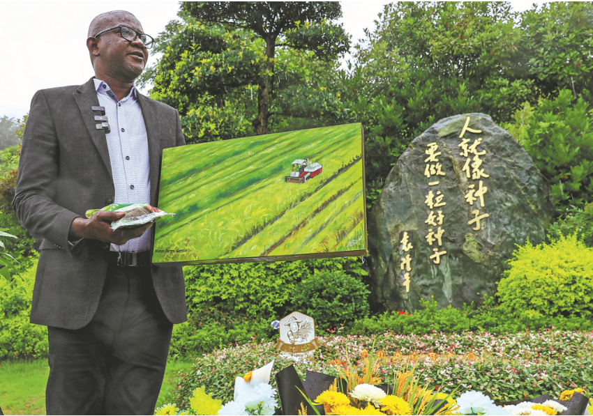 Gambian farmer pays tribute to 'father of hybrid rice'