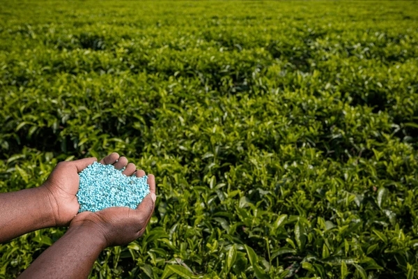 Africa's NPK Fertilizers Market to Grow at +2.6% CAGR, Reaching 6M Tons by 2035
