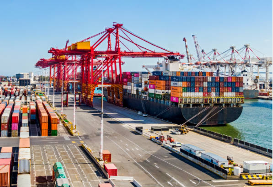 China Fertilizer Market Brief - July to Early August 2025