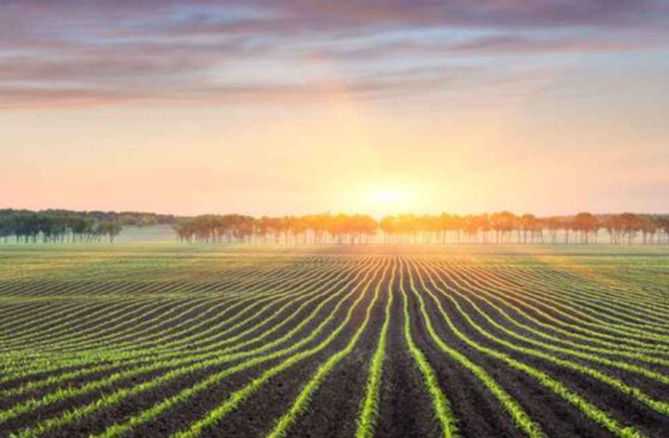TFI Certified Biostimulant label newly awarded to two products